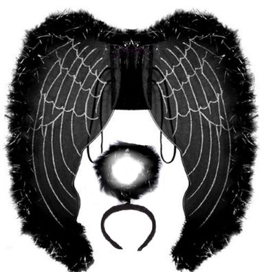 Angel Wing with Halo HE0543