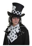 6708Gothic Mad Hatter Wig