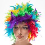 2020g Rainbow Feather Costume Wig RB6001