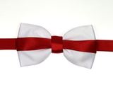 England St George Bow Tie EG9020
