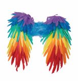 353296-Rainbow-feather-wings RB9014