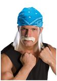 6750Champion Wrestler Wig And Mustache