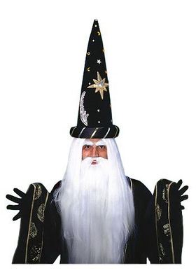 6820Wizard Beard And Wig Set