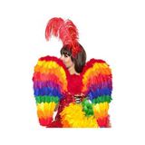 Rainbow_feather_wings RB9014