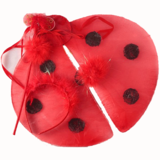 Red Silk Ladybug Set (4107)
