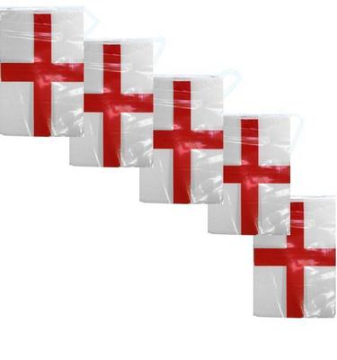 2M England St George PVC Bunting EG9026