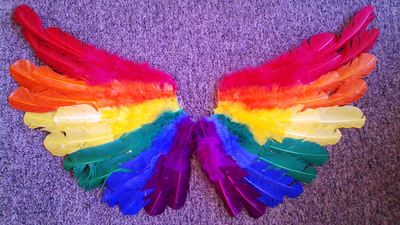 Rainbow_feather_wings RB9014