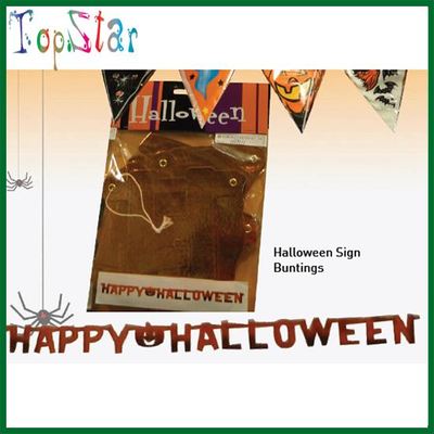 TSL9949 Halloween Flag