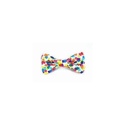 Rainbow Tie RB9014