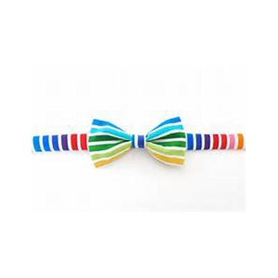 Rainbow Tie RB9014