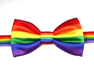Van buck rainbow Novelty bow RB9014