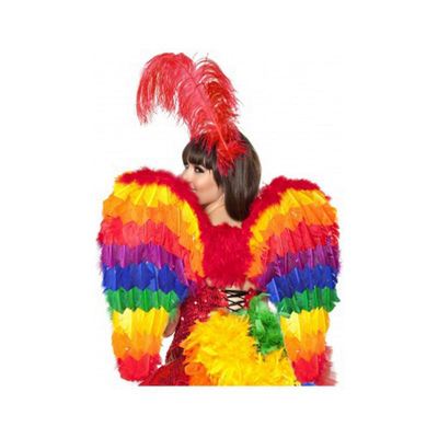 Rainbow_feather_wings RB9014