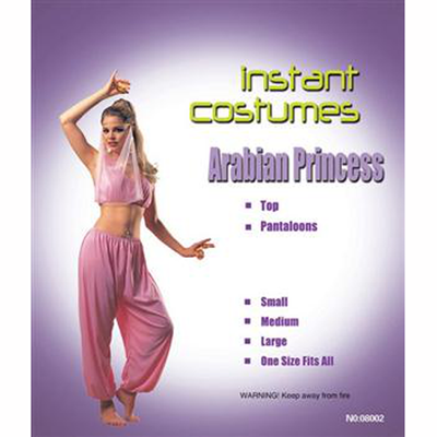 Arabian Princess Costume(1856)(2)